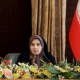 دولت درگیر نبرد حقوقی هوشمندانه ای با آمریکا است